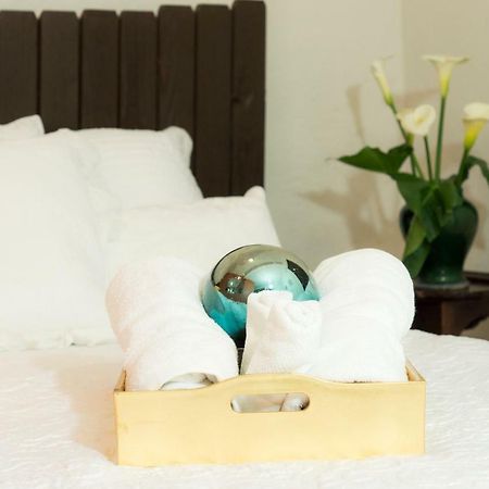 Suite 5A, Altavista, Garden House, Welcome To San Angel Mexico City Ngoại thất bức ảnh