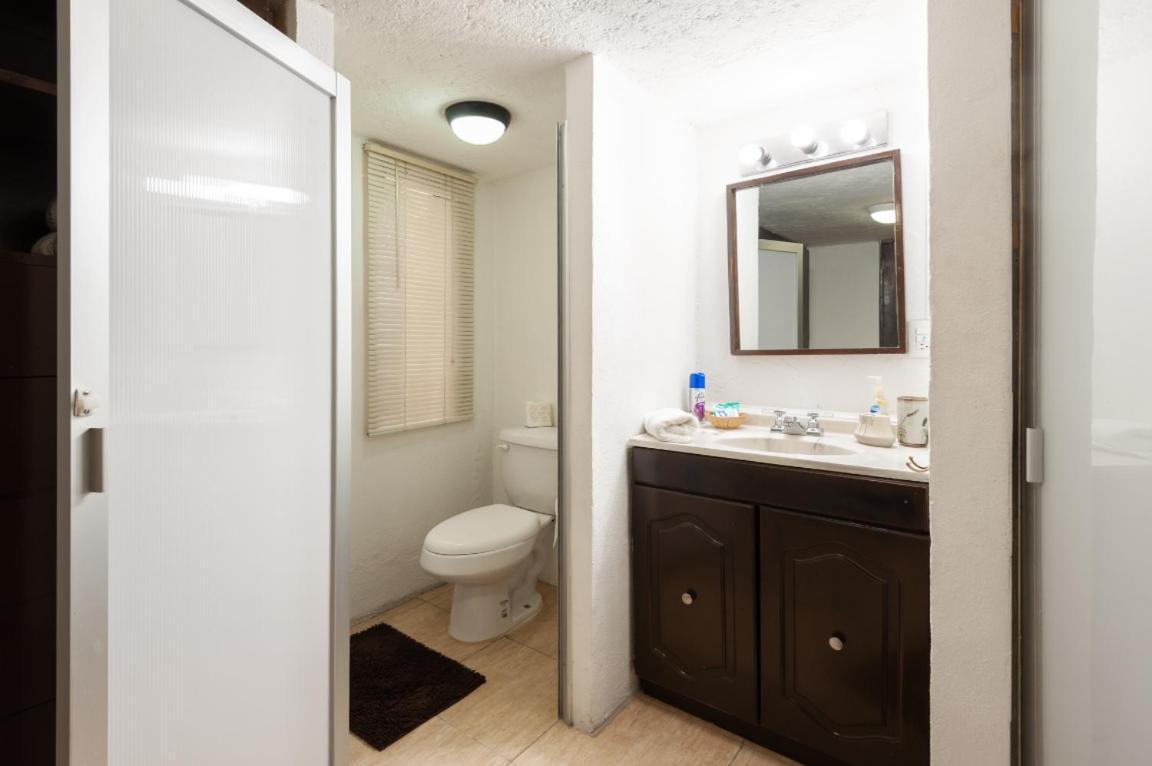 Suite 5A, Altavista, Garden House, Welcome To San Angel Mexico City Ngoại thất bức ảnh