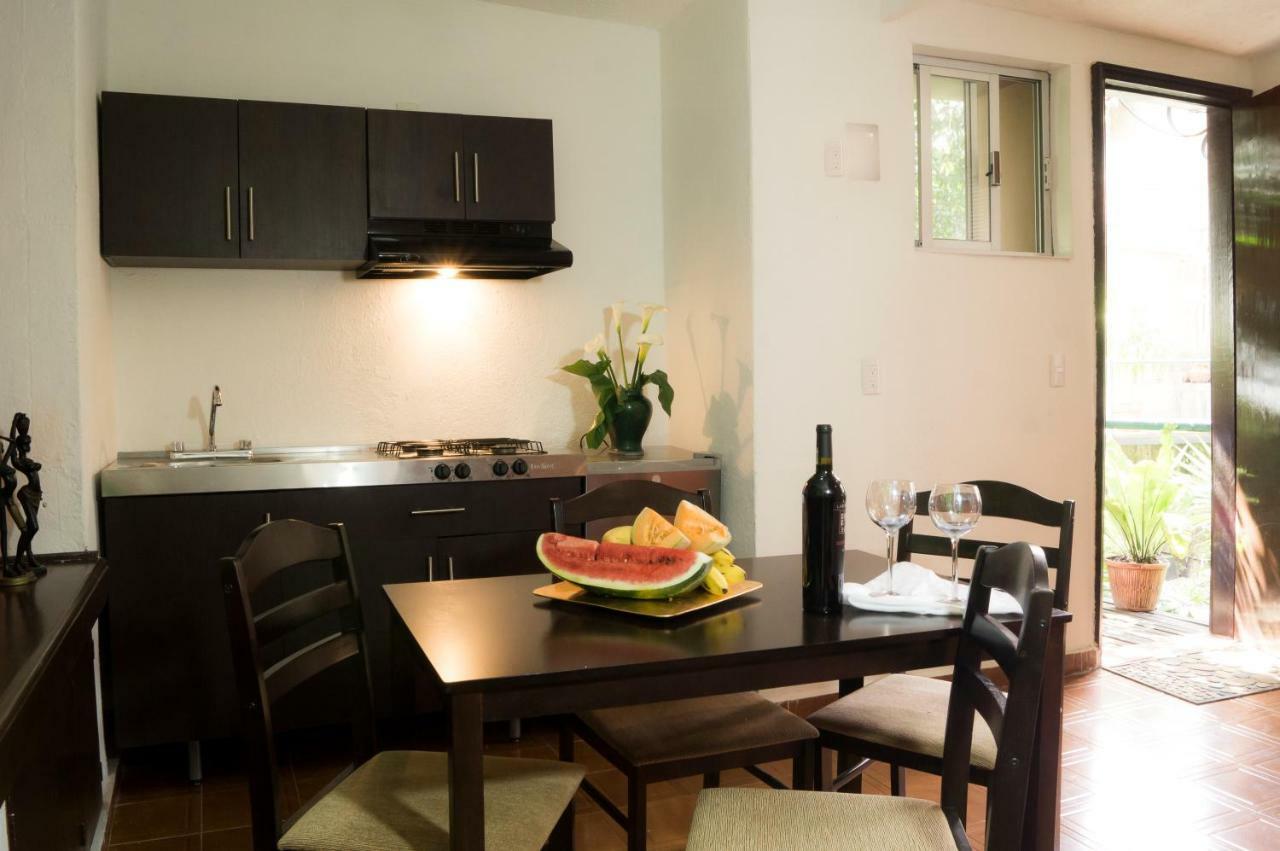 Suite 5A, Altavista, Garden House, Welcome To San Angel Mexico City Ngoại thất bức ảnh