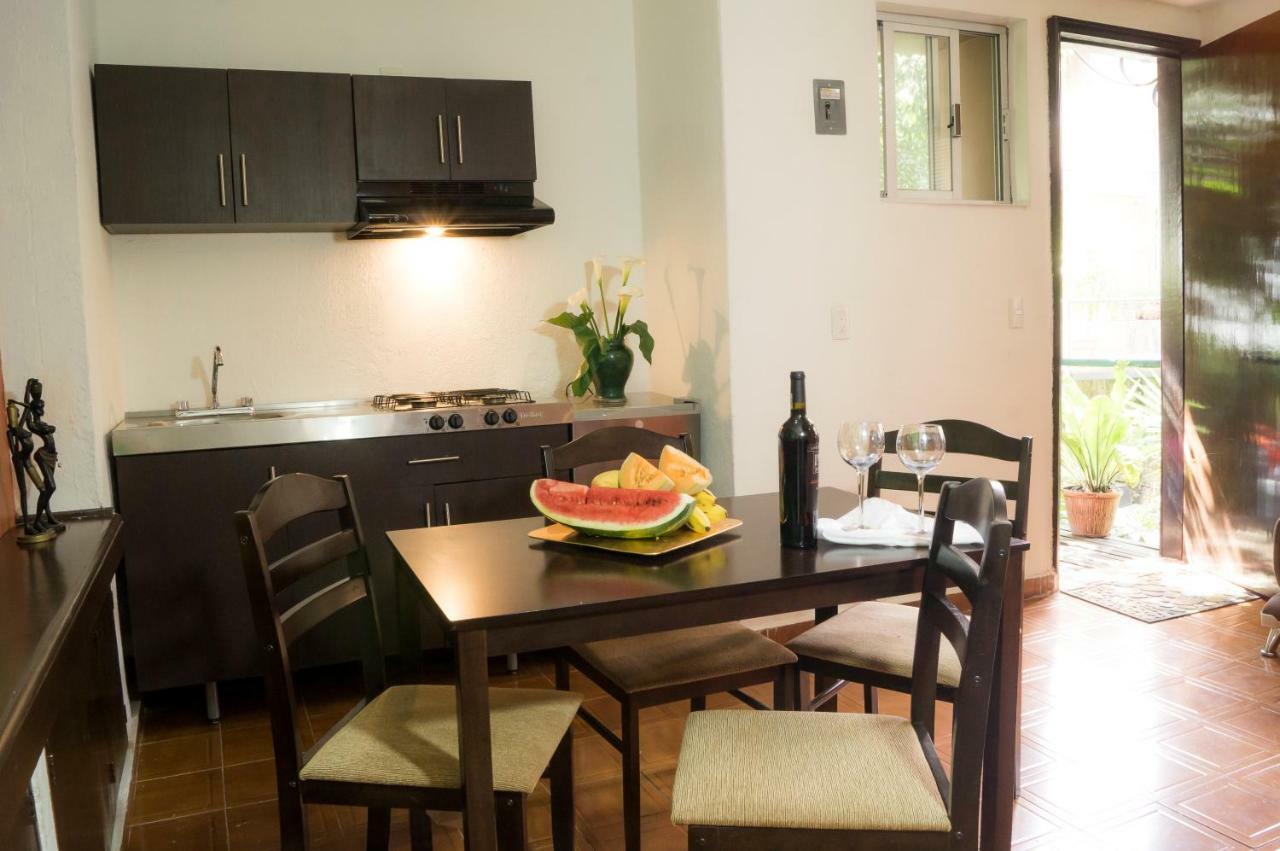 Suite 5A, Altavista, Garden House, Welcome To San Angel Mexico City Ngoại thất bức ảnh