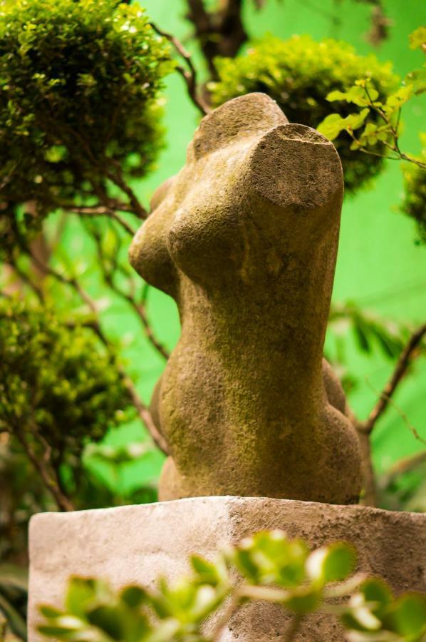 Suite 5A, Altavista, Garden House, Welcome To San Angel Mexico City Ngoại thất bức ảnh
