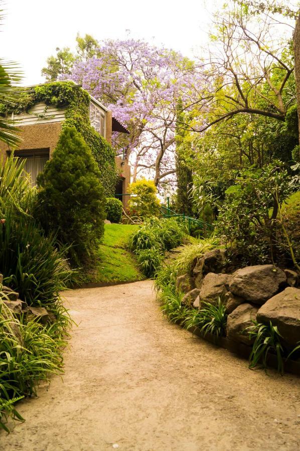Suite 5A, Altavista, Garden House, Welcome To San Angel Mexico City Ngoại thất bức ảnh