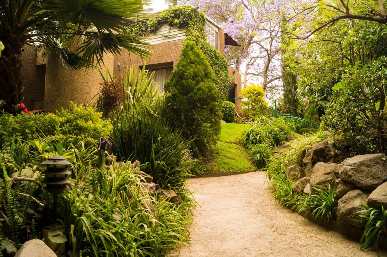 Suite 5A, Altavista, Garden House, Welcome To San Angel Mexico City Ngoại thất bức ảnh